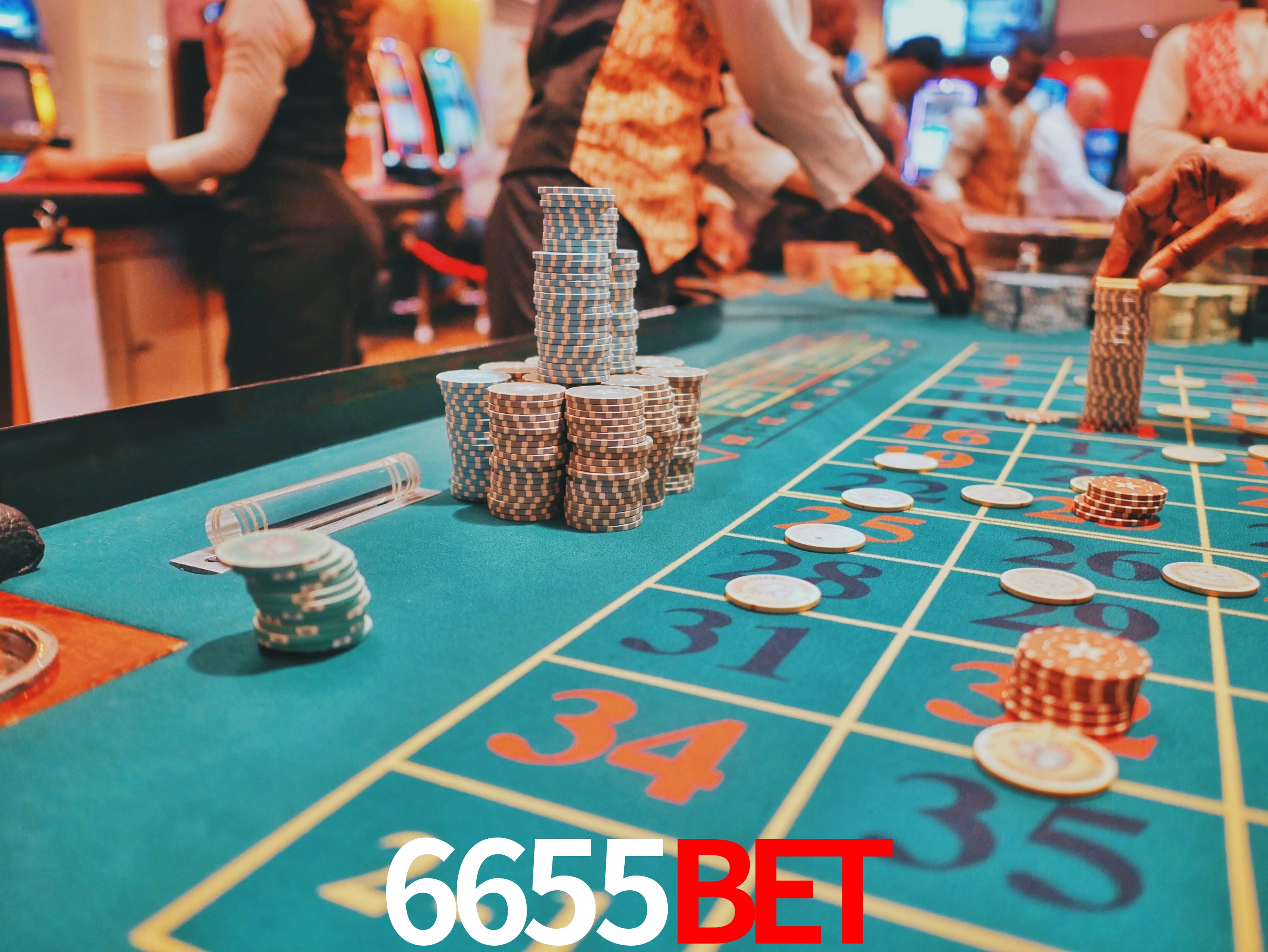 Sports Statistics 6655bet